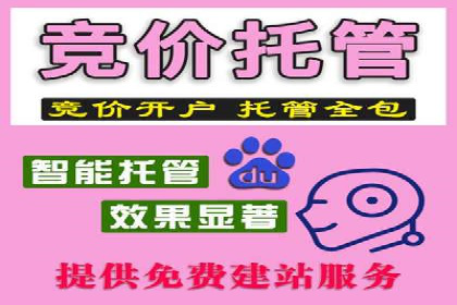 案例分析：SEM托管为企业打造精准营销方案